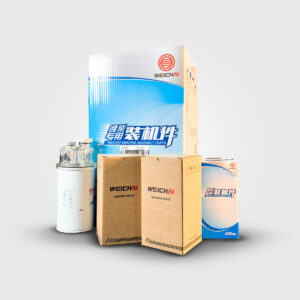 Kit de filtración para motor Baudouin 6M11 - 250 horas