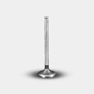 Válvula de escape 5.9 DCEC